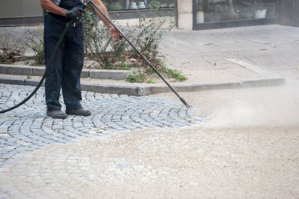 Best Pre-Holiday Cleaning  in Plano, IL